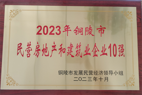 民營房地產(chǎn)和建筑業(yè)企業(yè)10強